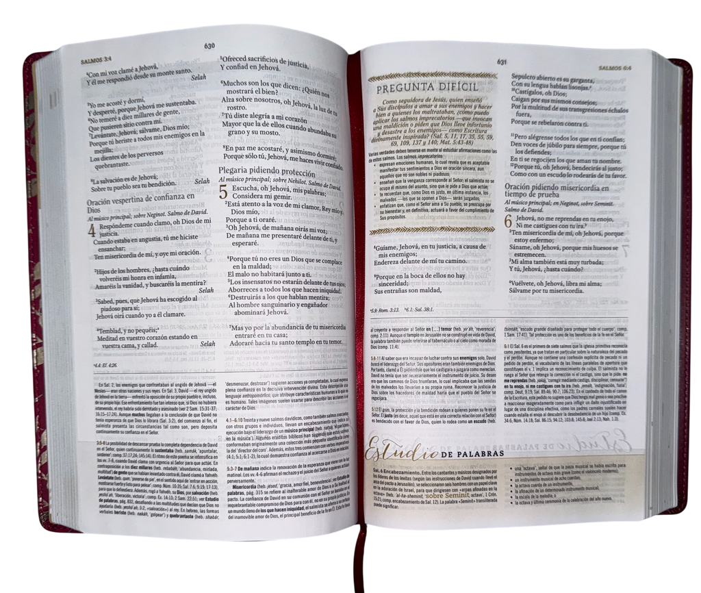 Biblia de Estudio para Mujeres Vinotinto Fucsia