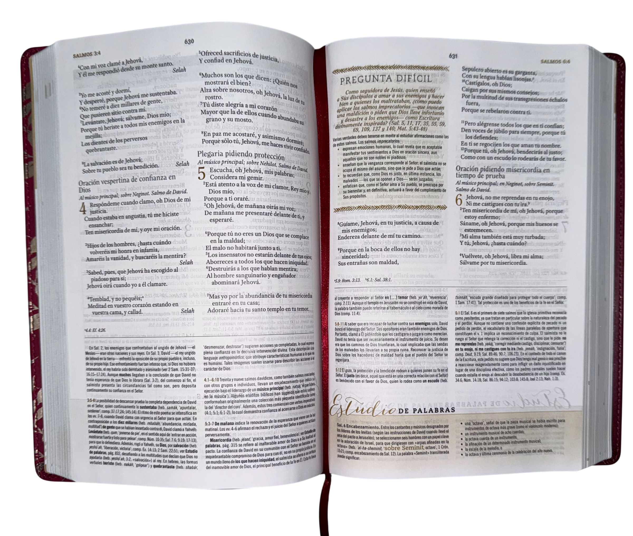 Biblia de Estudio para Mujeres Vinotinto Fucsia