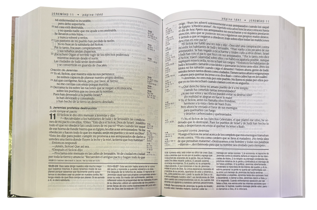 Biblia De Estudio Del Diario Vivir NTV/Letra Grande