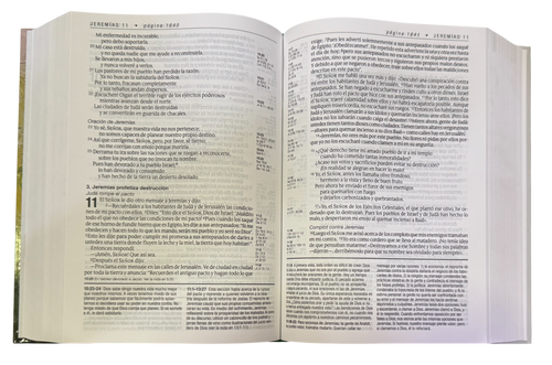 Biblia De Estudio Del Diario Vivir NTV/Letra Grande