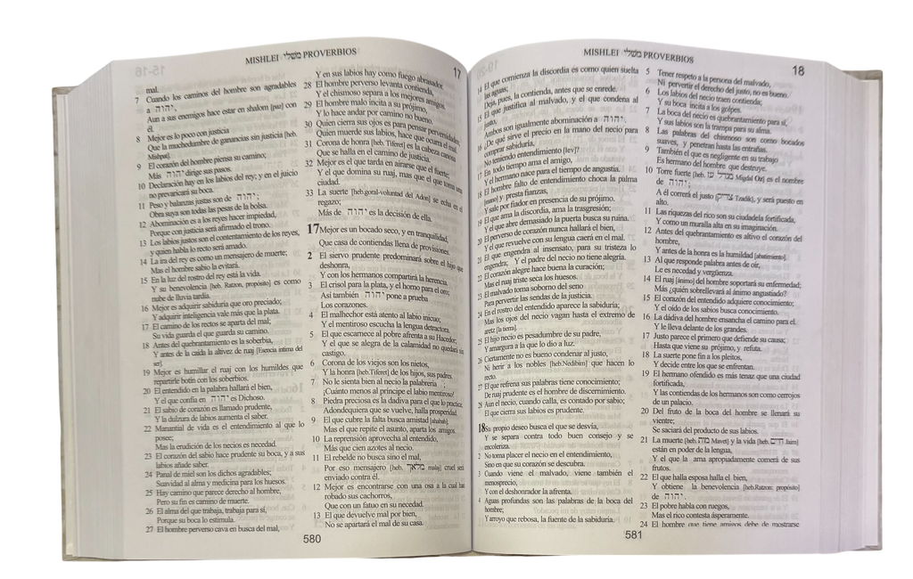 Biblia Kadushim version BINAH revision hebreo al español