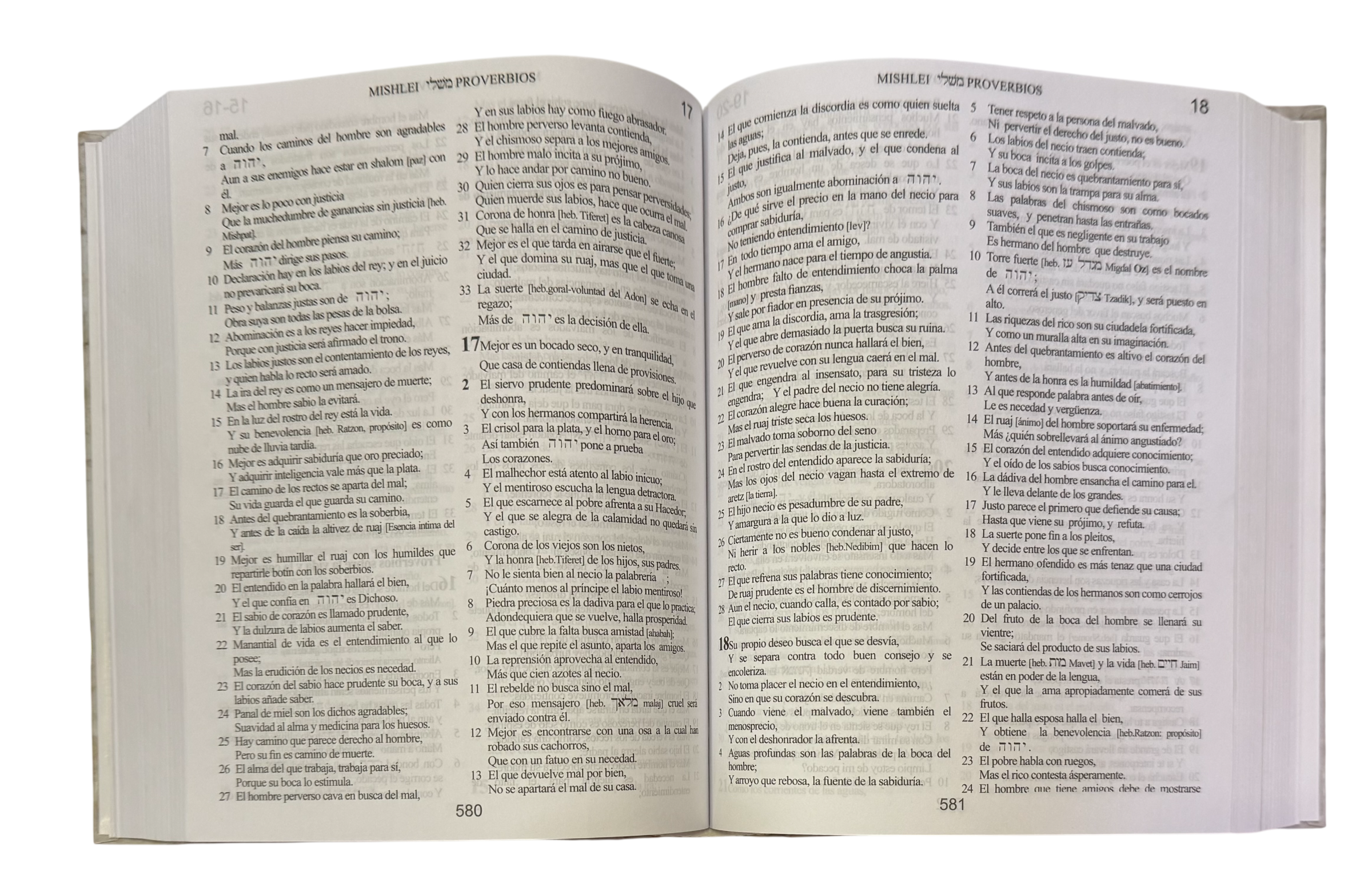 Biblia Kadushim version BINAH revision hebreo al español