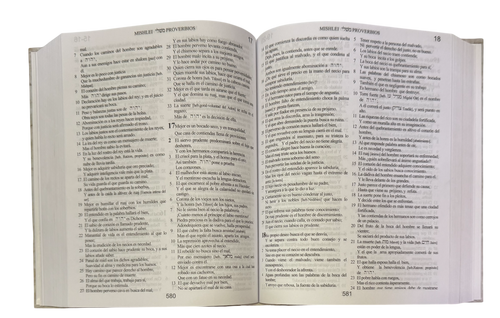 Biblia Kadushim version BINAH revision hebreo al español
