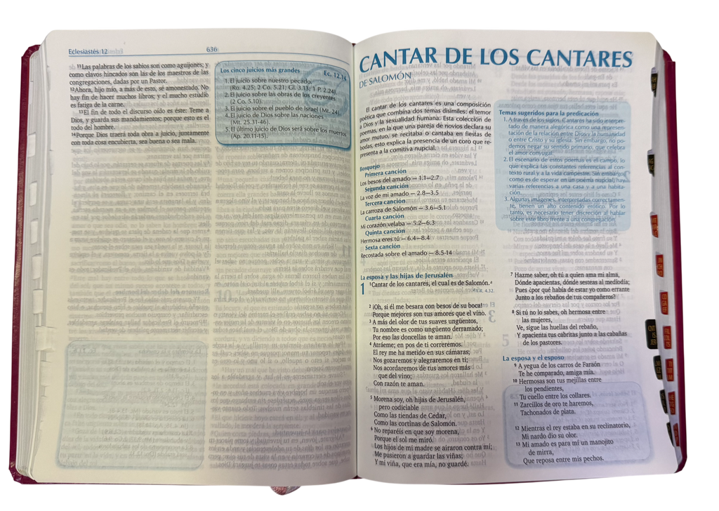 Biblia De La Predicación / RVR Purpura
