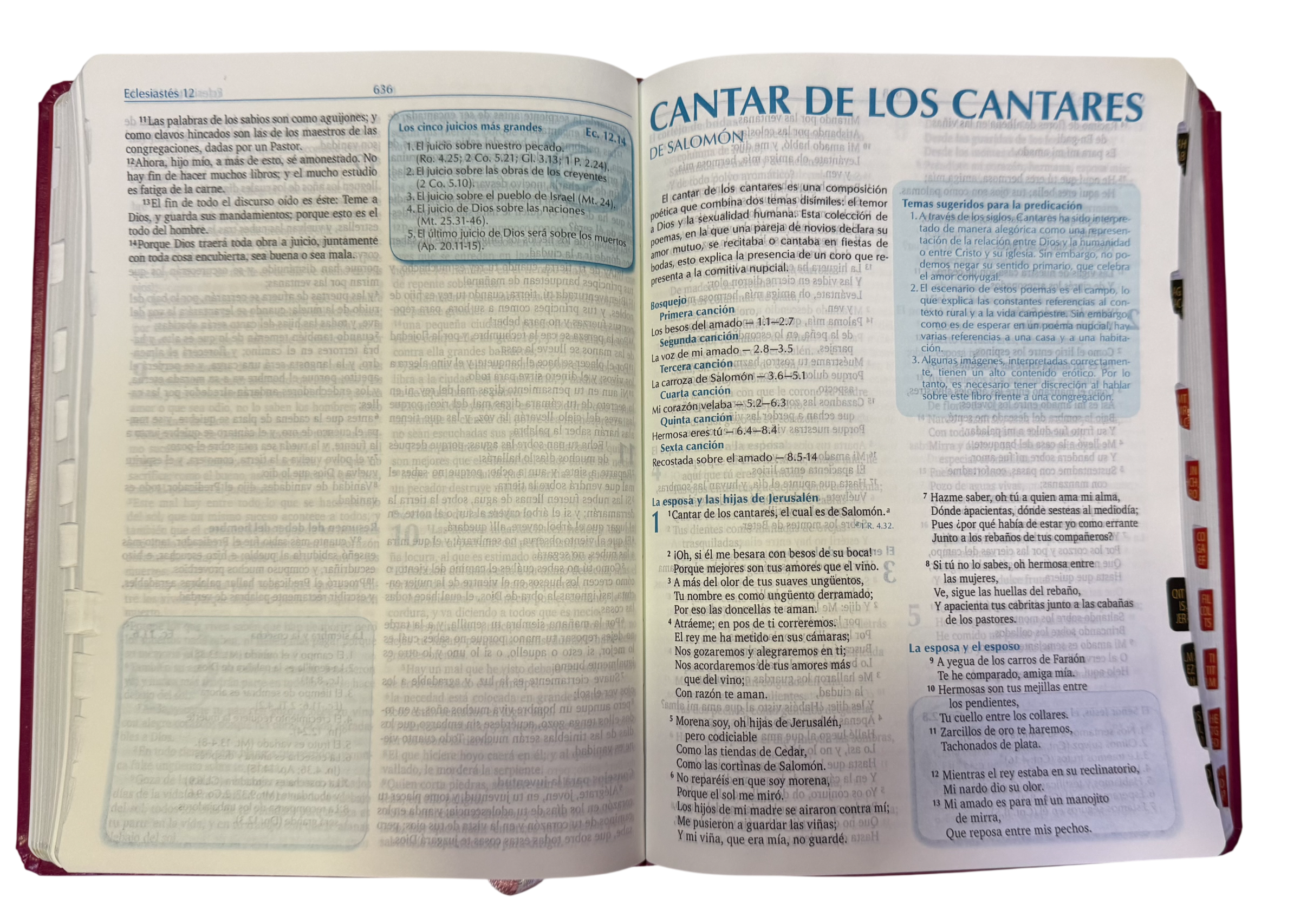Biblia De La Predicación / RVR Purpura