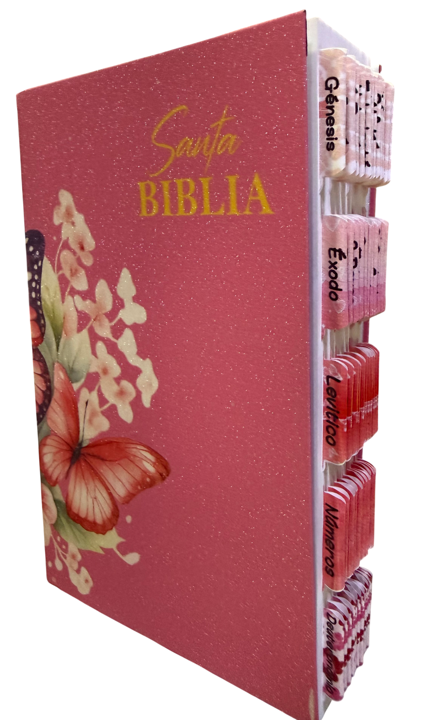 Biblia Reina-Valera/ Personalizada/ Escarchada Rosa