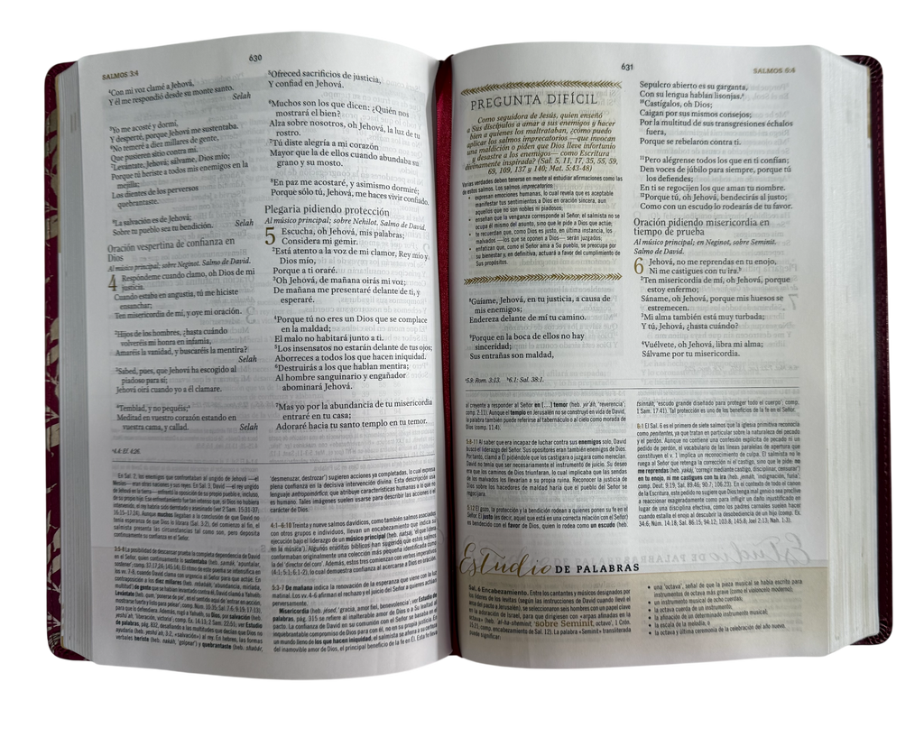 Biblia de Estudio para Mujeres RVR60 Vino Tinto/Fucsia Símil Piel