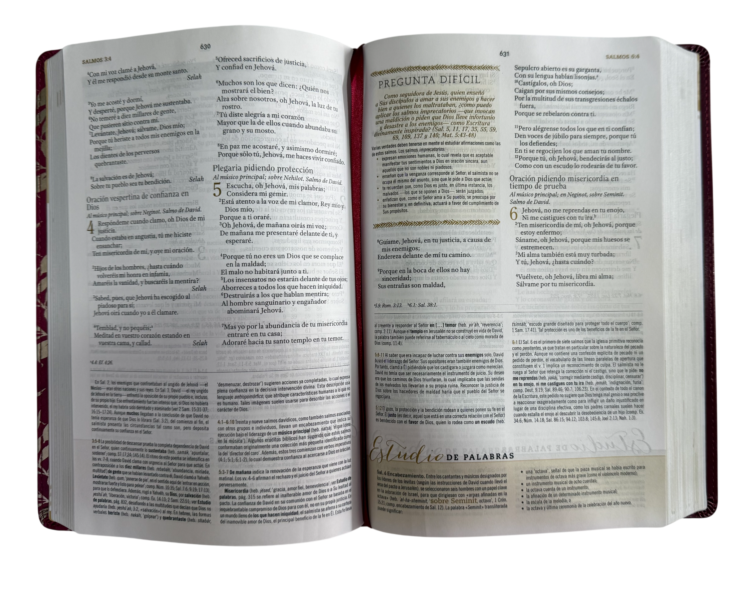 Biblia de Estudio para Mujeres RVR60 Vino Tinto/Fucsia Símil Piel