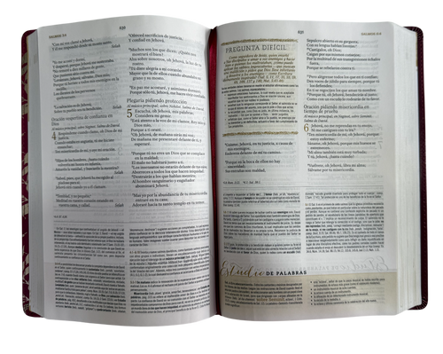 Biblia de Estudio para Mujeres RVR60 Vino Tinto/Fucsia Símil Piel