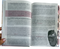 Biblia TLA con Ayudas Prácticas para la Salud Emocional – Tapa Dura Blanco/Lila