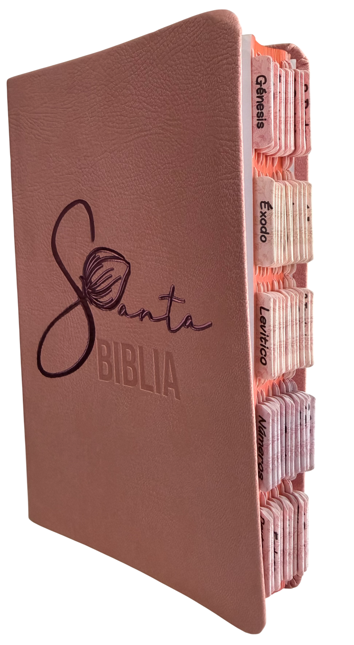 Biblia Económica RVR60 Tipo Agenda