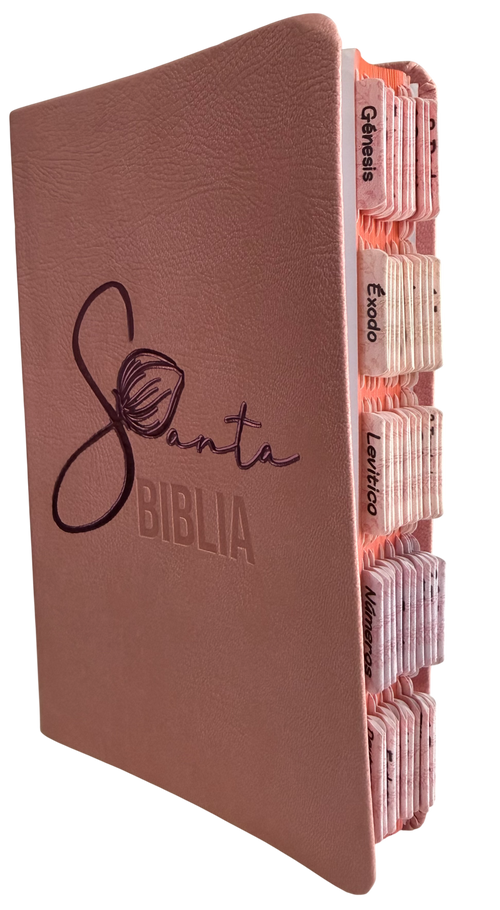 Biblia Económica RVR60 Tipo Agenda