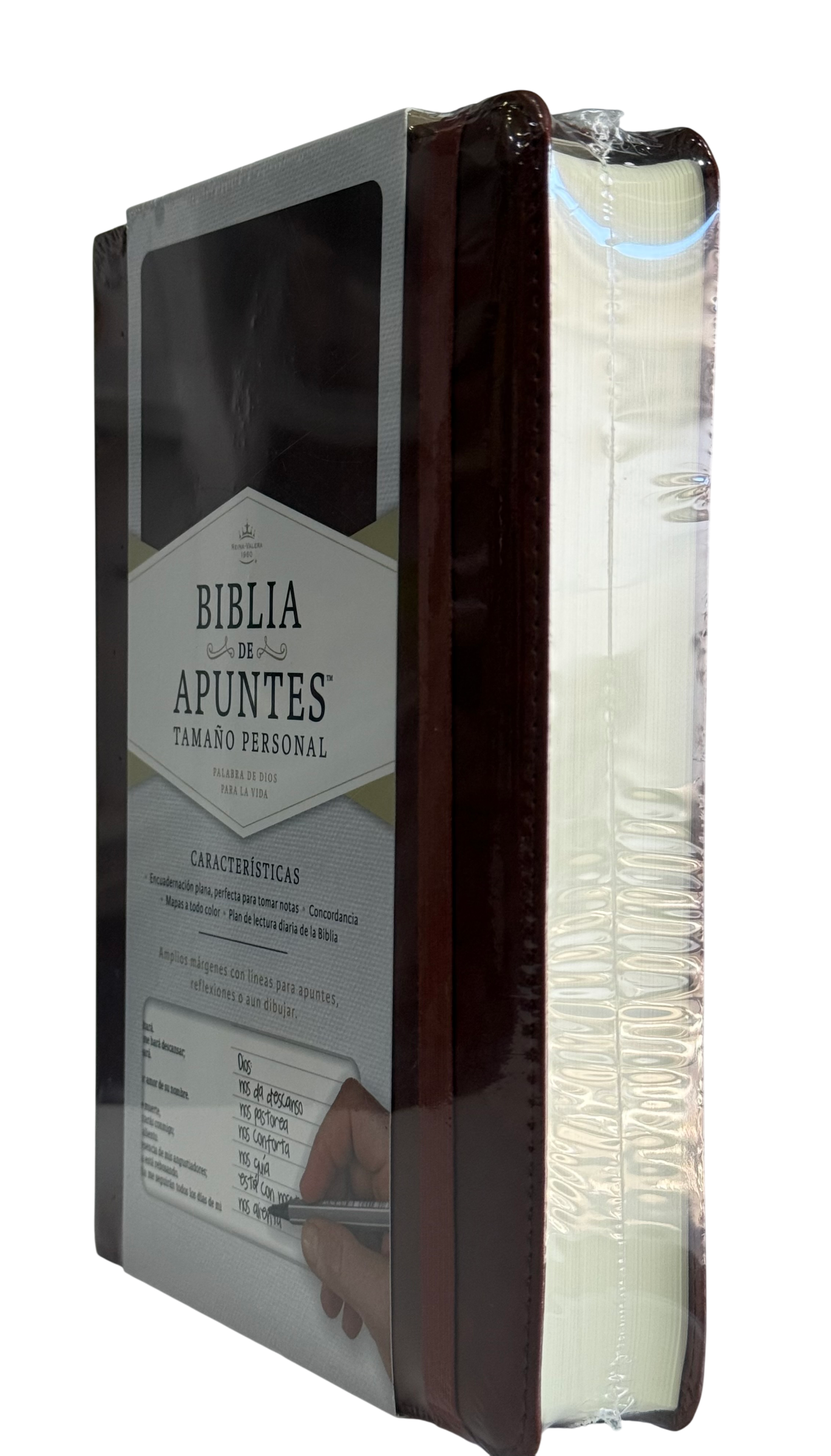 Biblia De Apuntes 1960 Tamaño Personal  Cafe Simil Piel