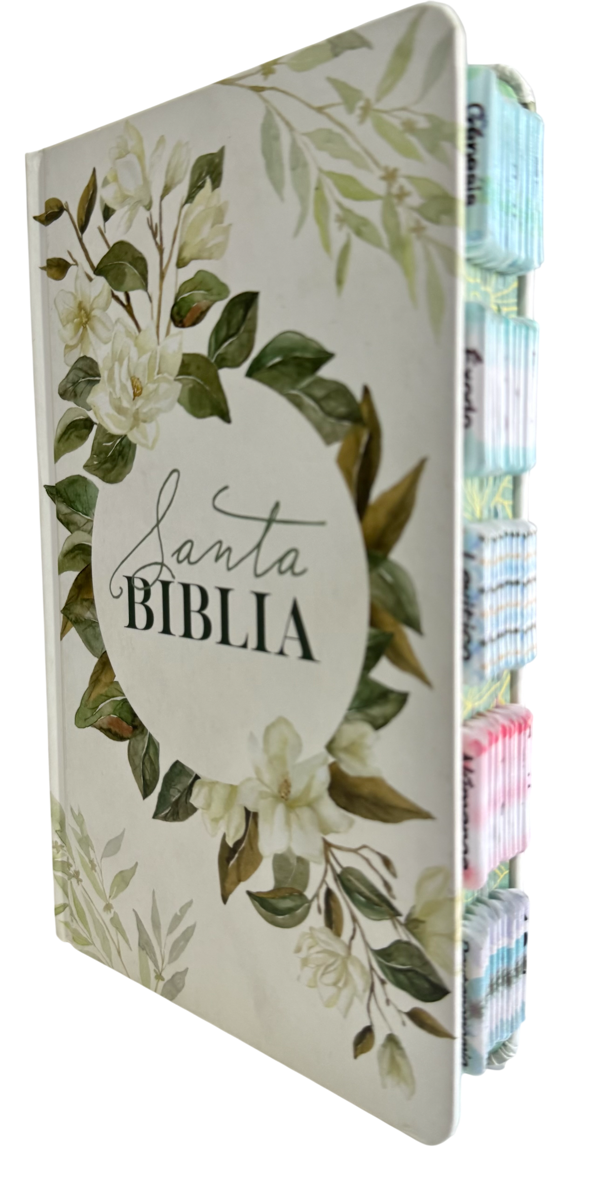 Biblia Reina Valera 1960 Letra Mediana Tapa Dura