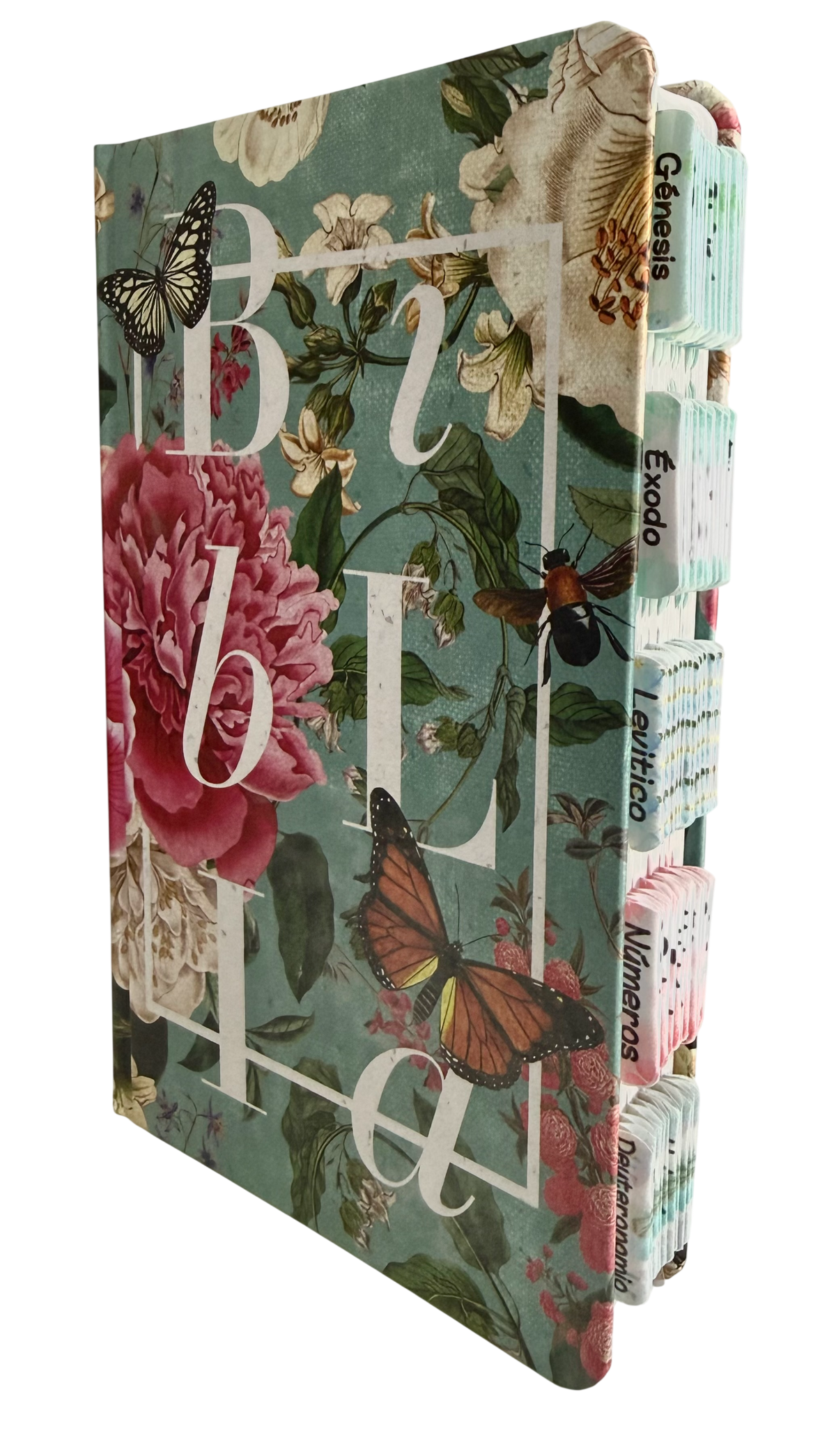 Biblia Reina Valera 1960 Letra Mediana Tapa Dura