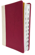 Biblia RVR60 Letra Súper Gigante Fucsia Canto Plateado con QR