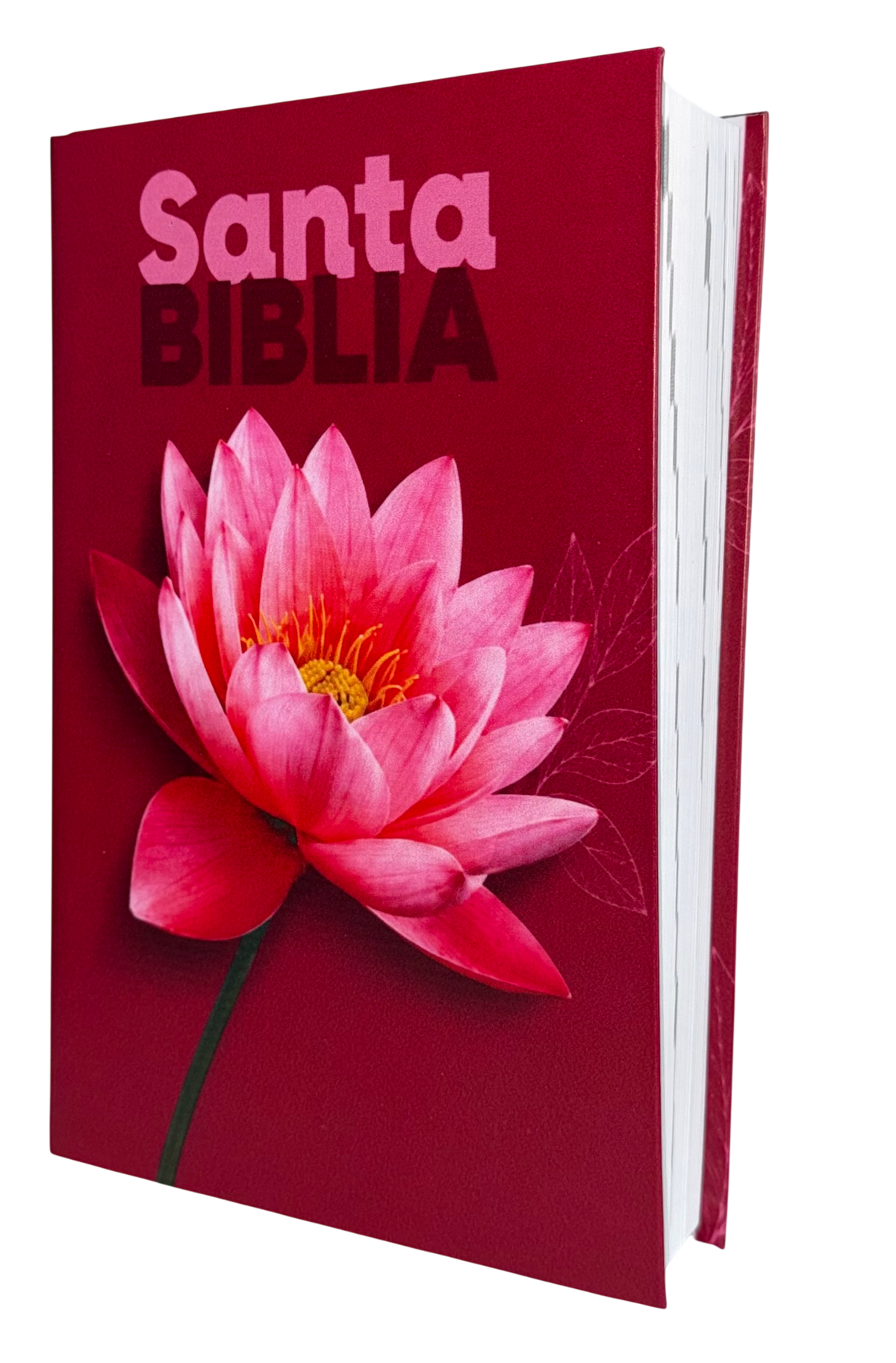 Biblia PDT/ Reina Valera 1960 Personalizadas/ Escarchadas, Matte y Brillante