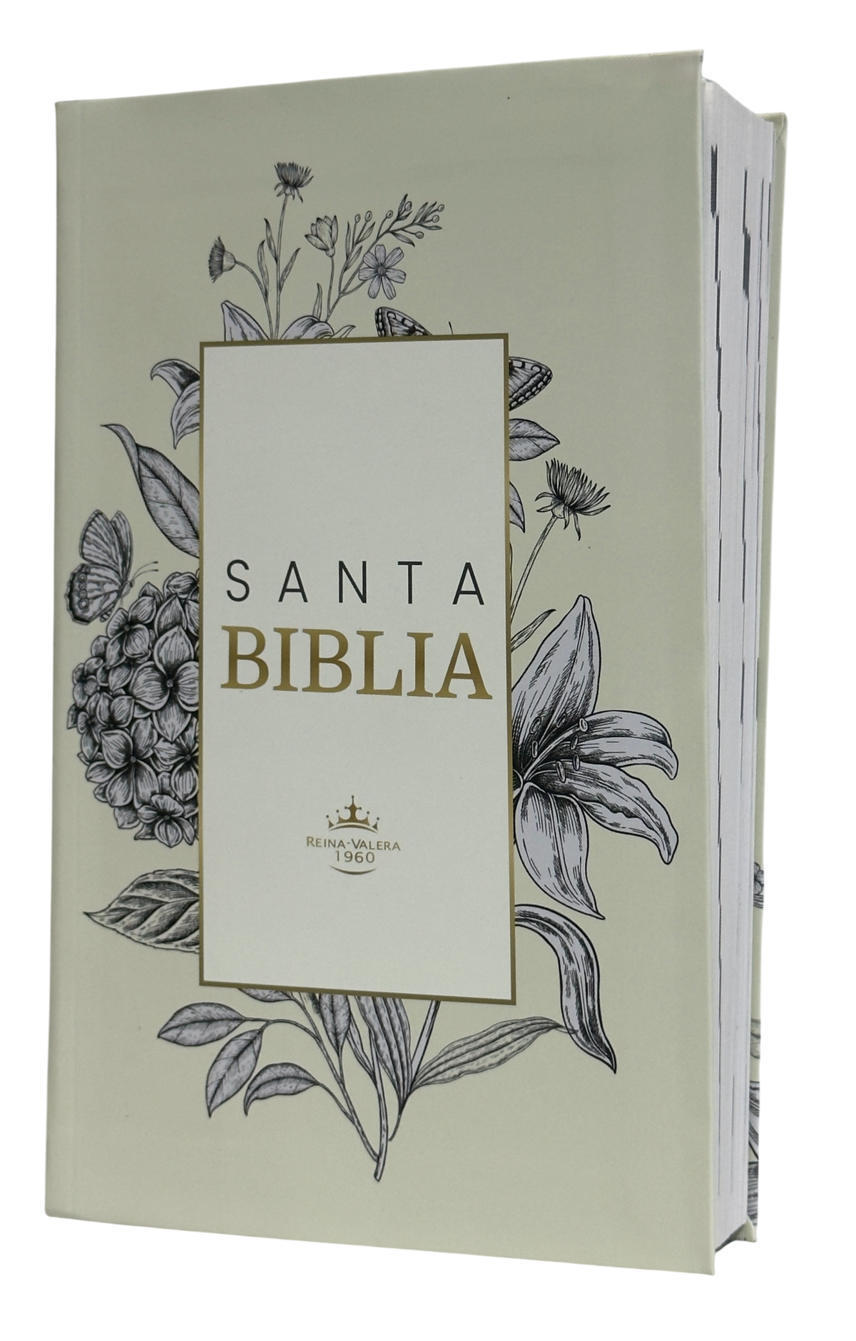 Biblia RVR60 Letra Grande Blanco Canto Blanco