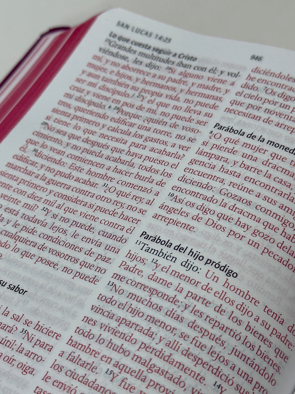 Biblia RVR60 Letra Mediana, Tapa Dura "León de Judá" Rosada