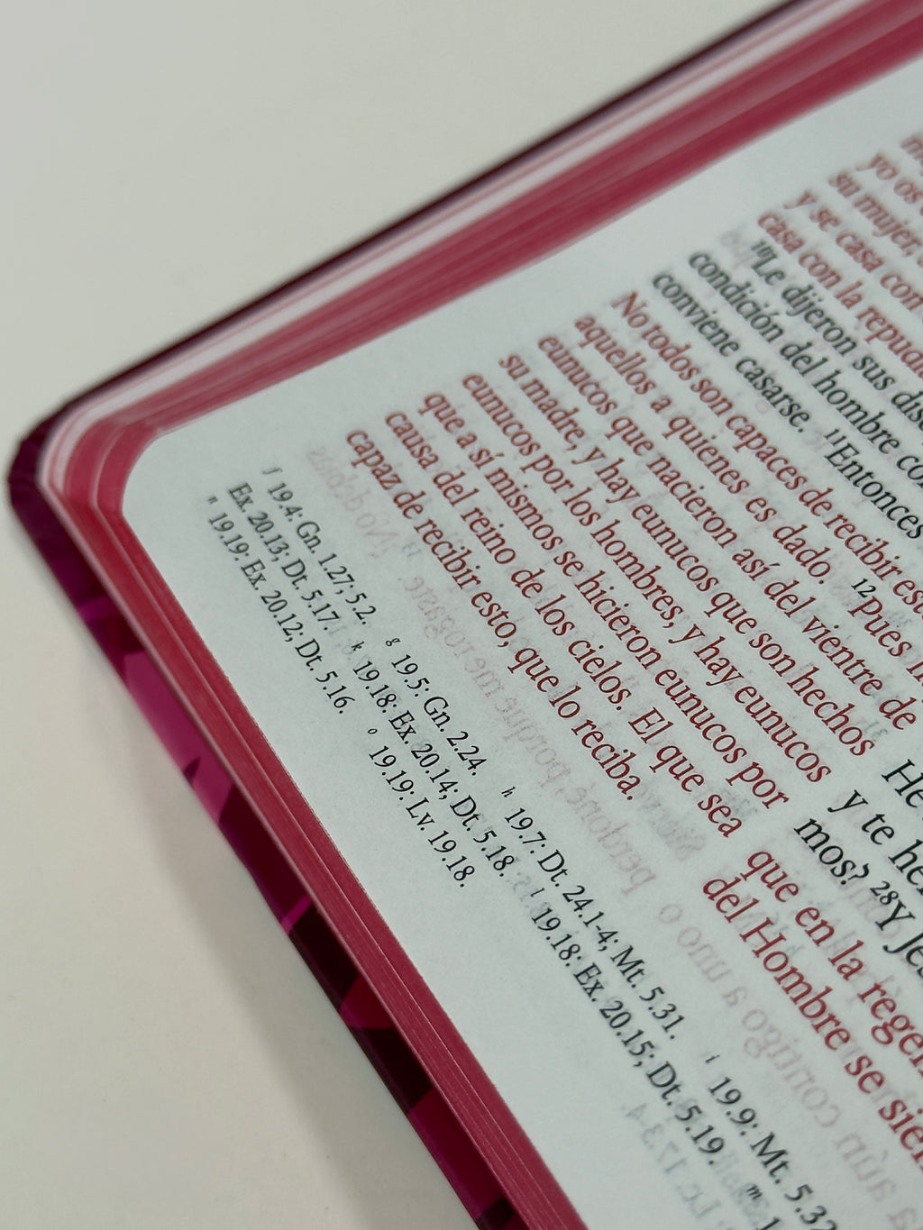 Biblia RVR60 Letra Mediana, Tapa Dura "León de Judá" Rosada