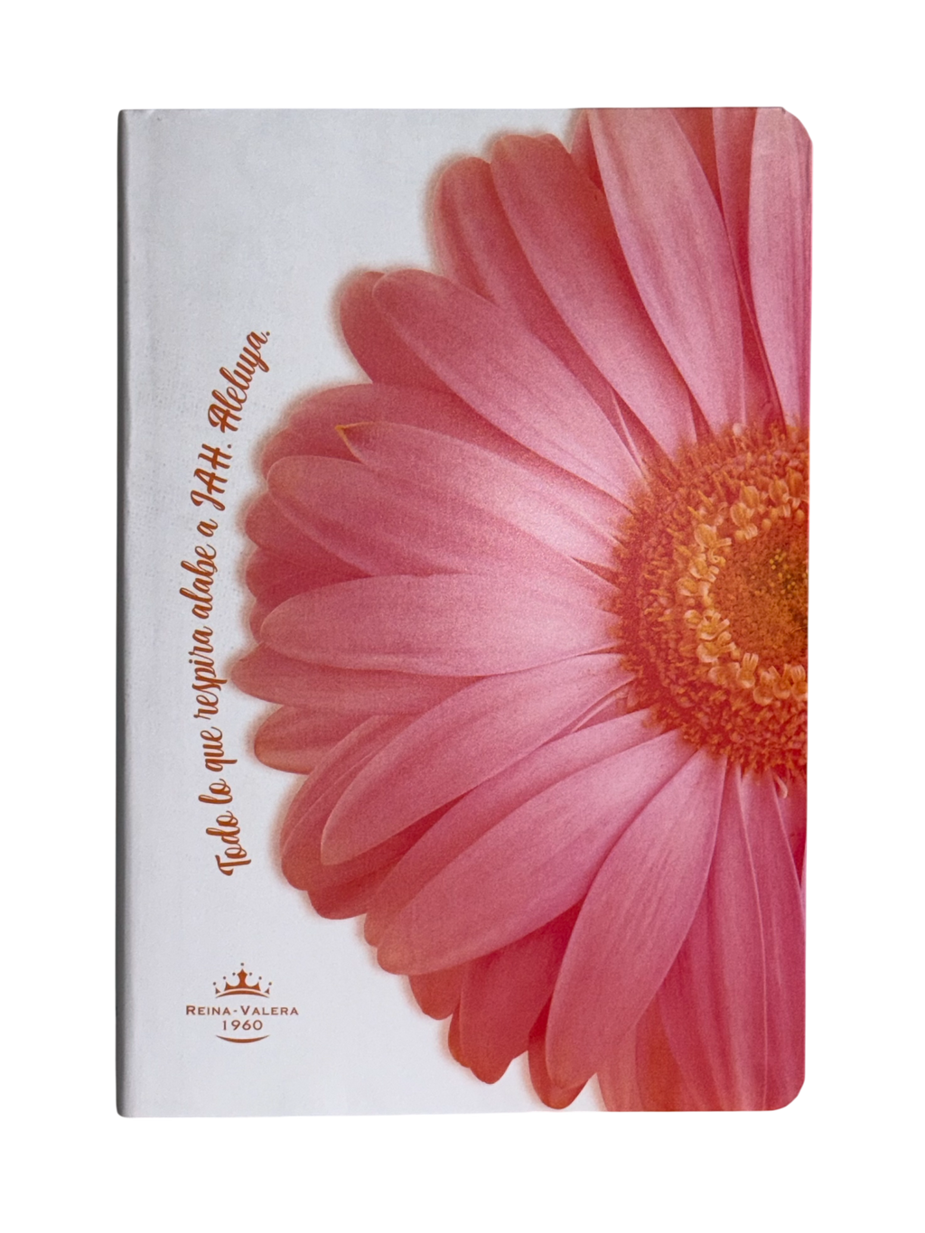 Biblia Reina Valera 1960 Mediana Letra Grande Tapa Semiflexible Flor Rosa