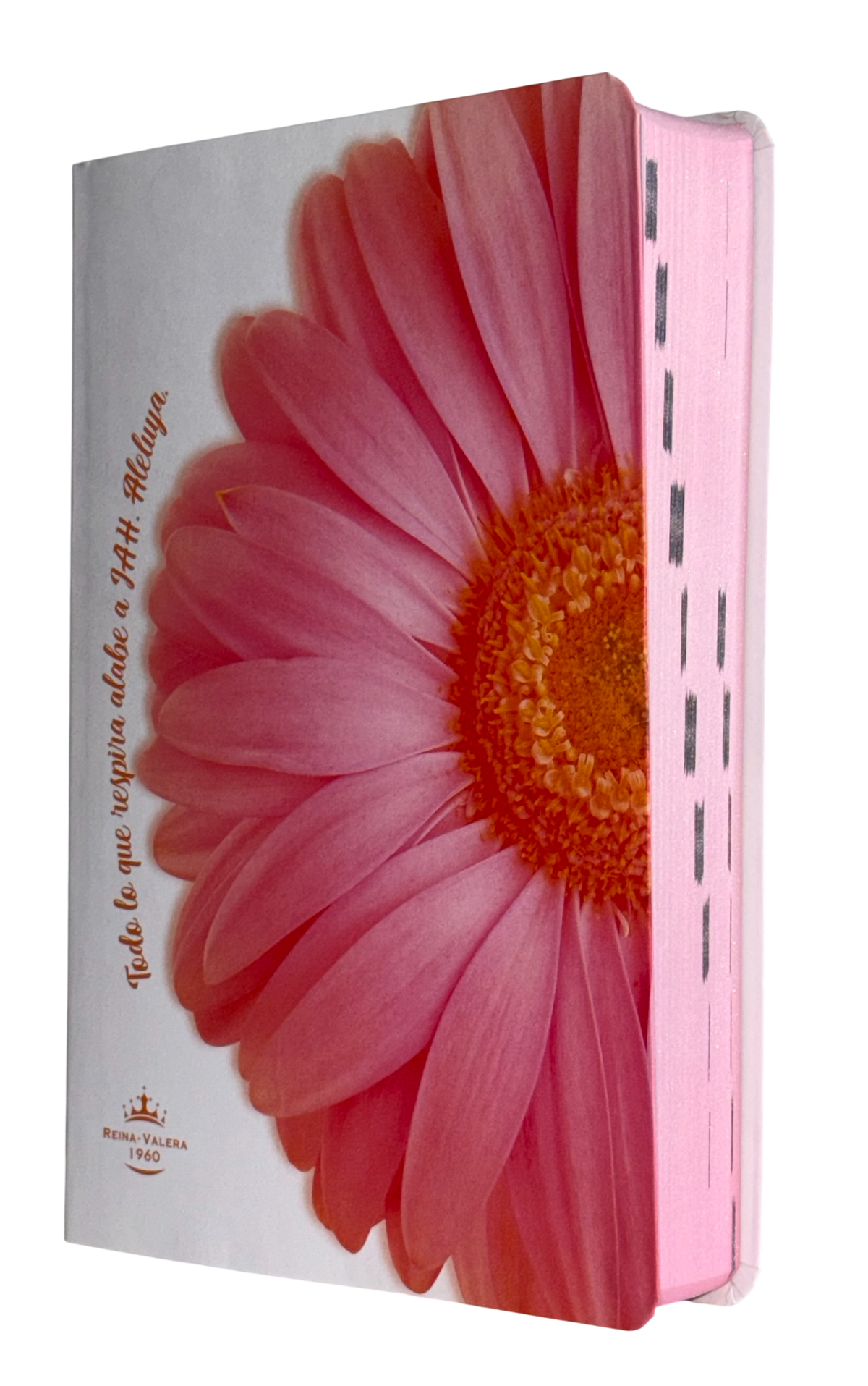 Biblia Reina Valera 1960 Mediana Letra Grande Tapa Semiflexible Flor Rosa