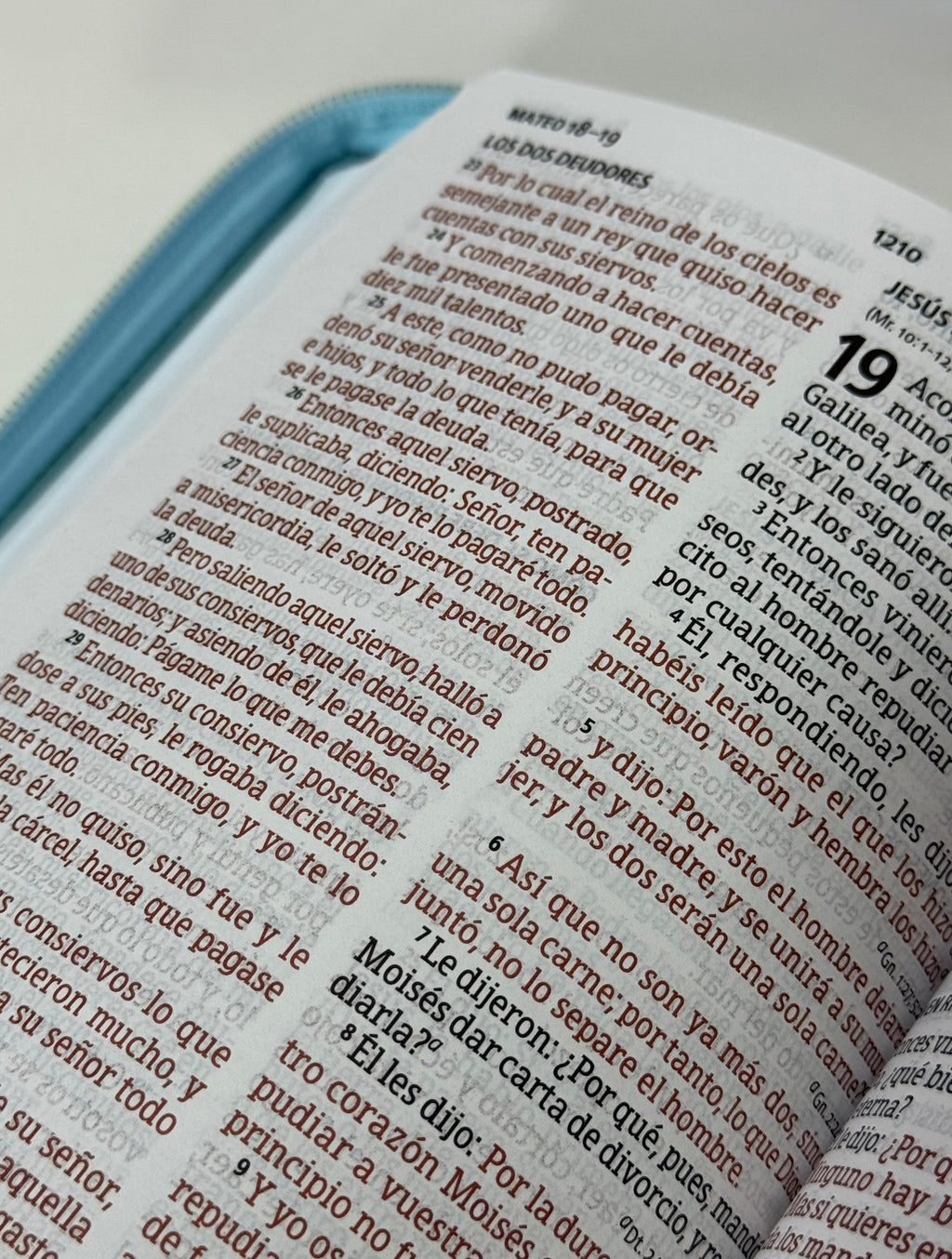 RVR 1960 Biblia Letra Grande Tamaño Manual Aqua Símil Piel