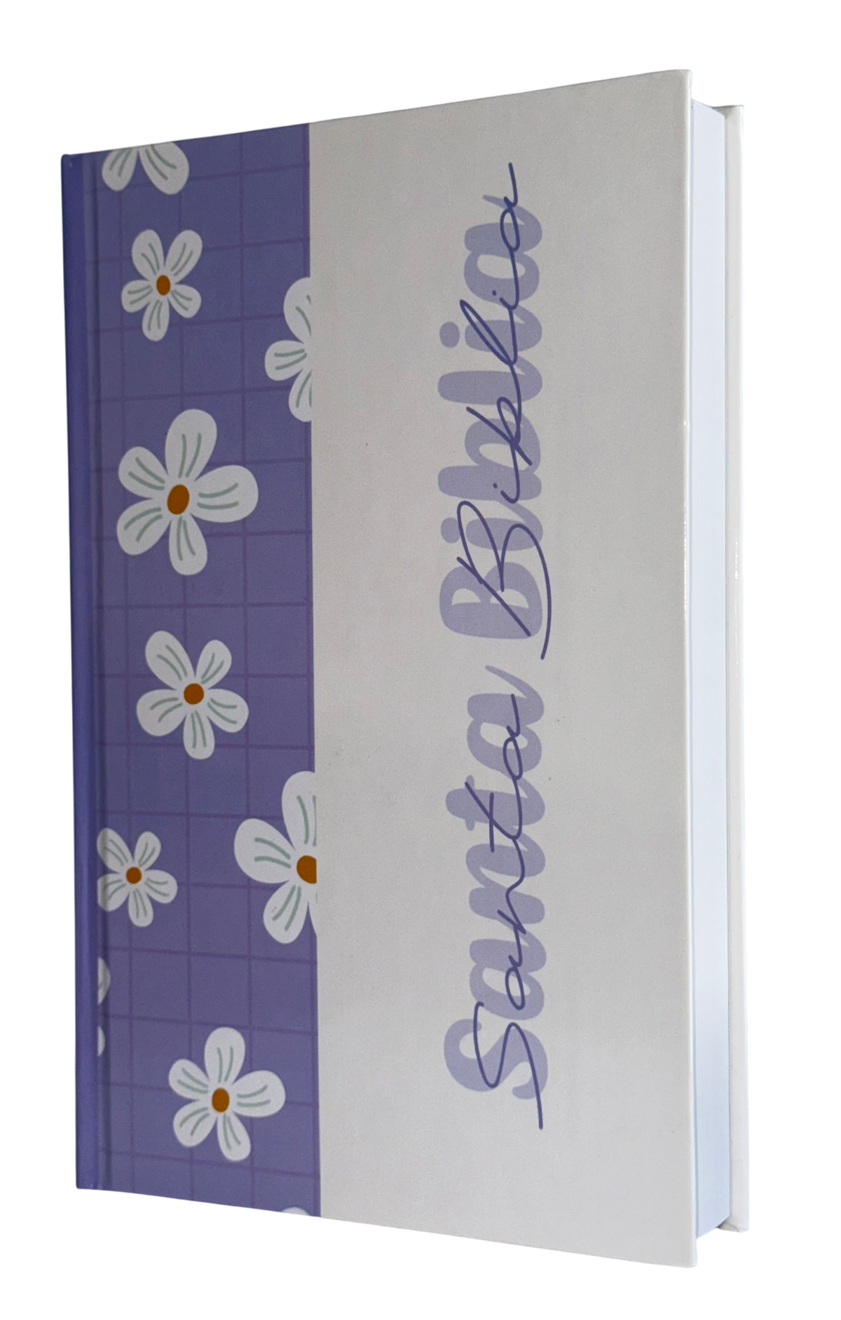 Biblia RVR60 Letra Grande con Cierre (Varios diseños y colores)