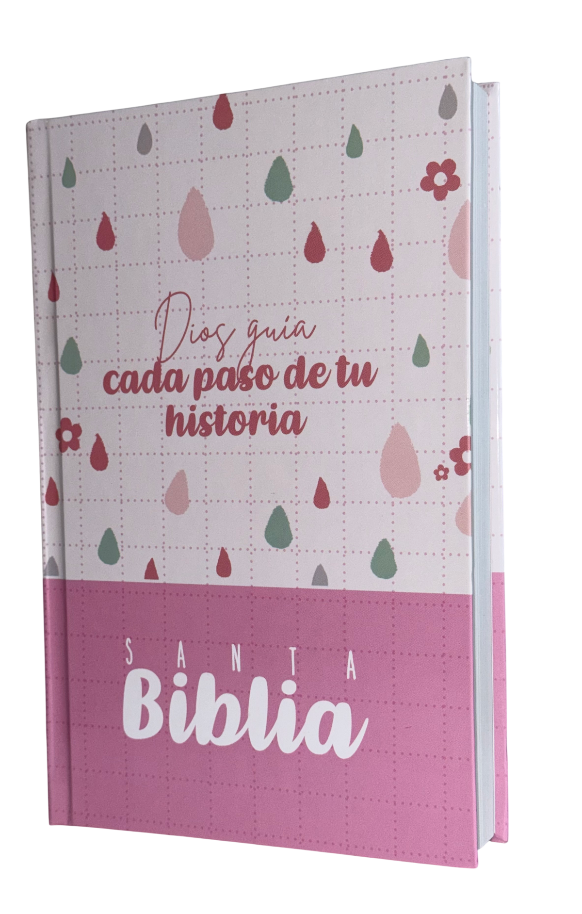 Biblia RVR60 Letra Grande con Cierre (Varios diseños y colores)
