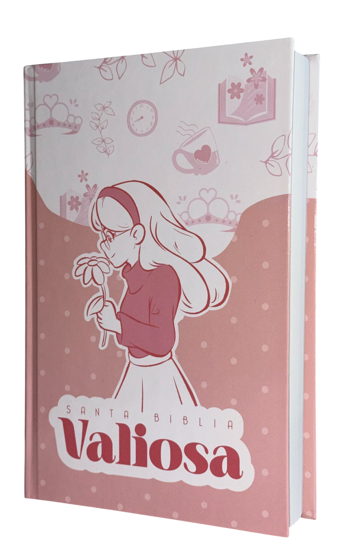 Biblia RVR60 Letra Grande con Cierre (Varios diseños y colores)