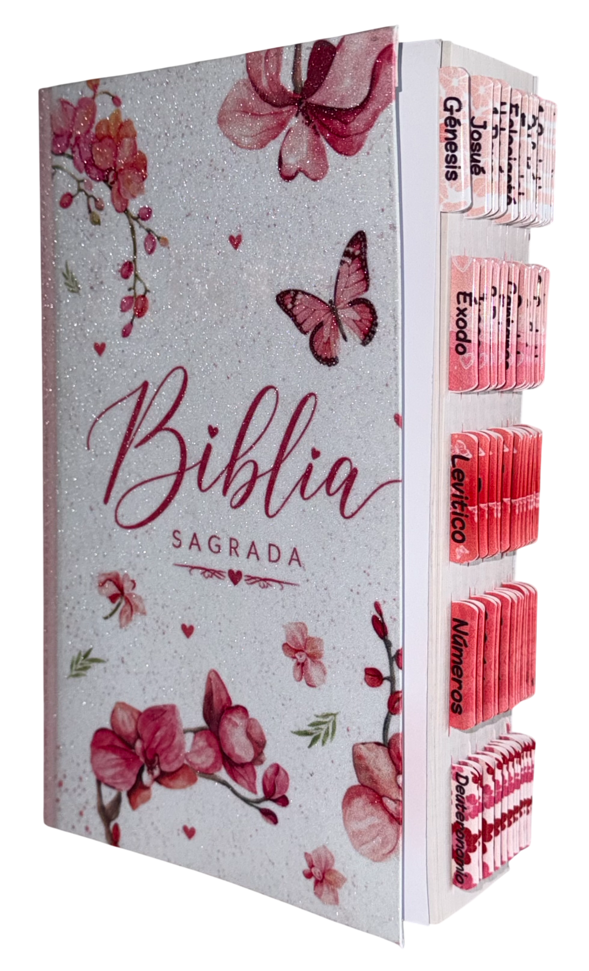 Biblia PDT/ Reina Valera 1960 Personalizadas/ Escarchadas, Matte y Brillante