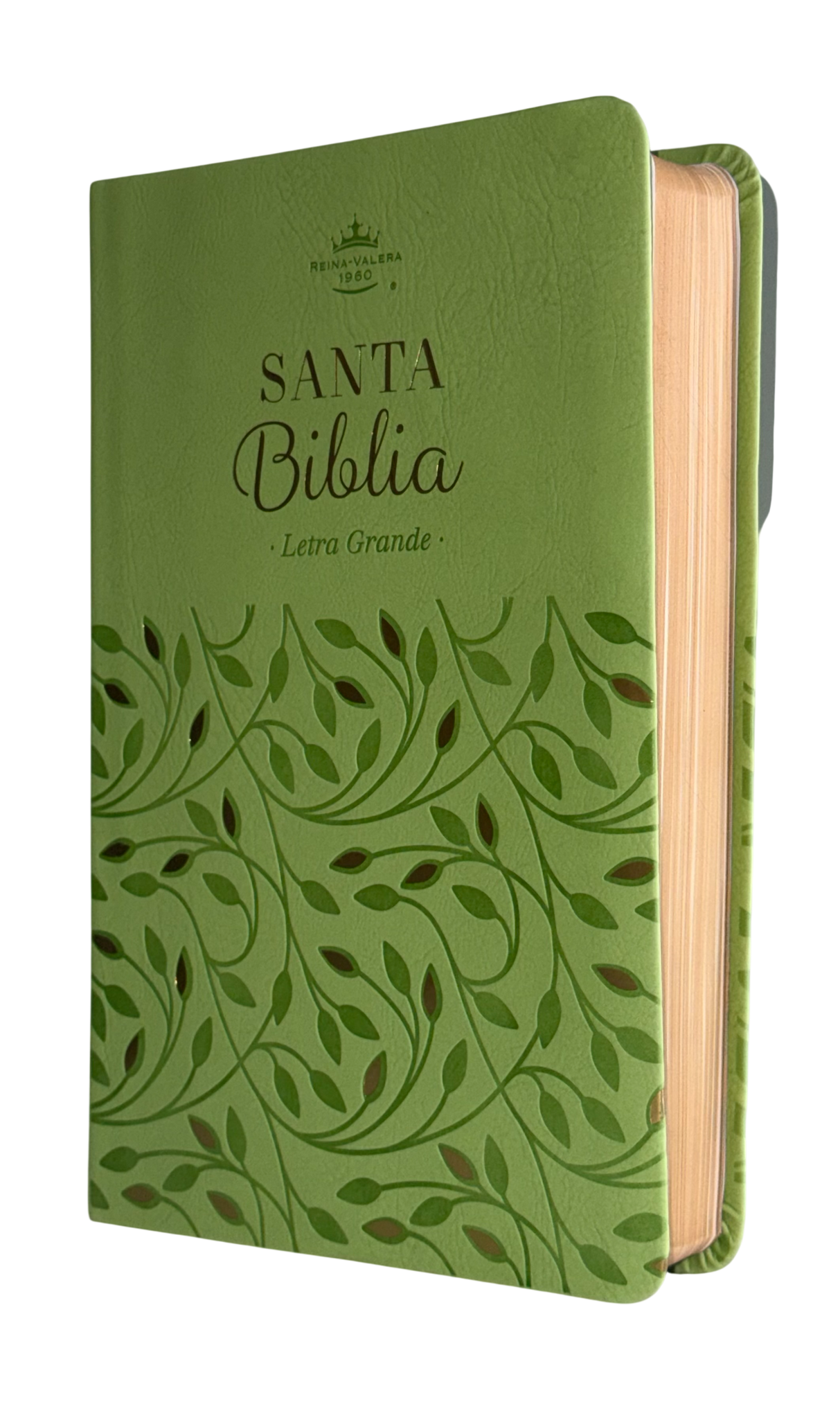 Biblia RVR60 Manual Letra Grande Símil Piel Verde Olivo