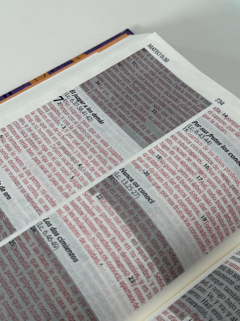 Biblia de Promesas para Mujeres Jóvenes RVR60 Letra Grande Tapa Dura Lila