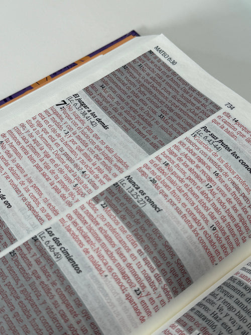 Biblia de Promesas para Mujeres Jóvenes RVR60 Letra Grande Tapa Dura Lila