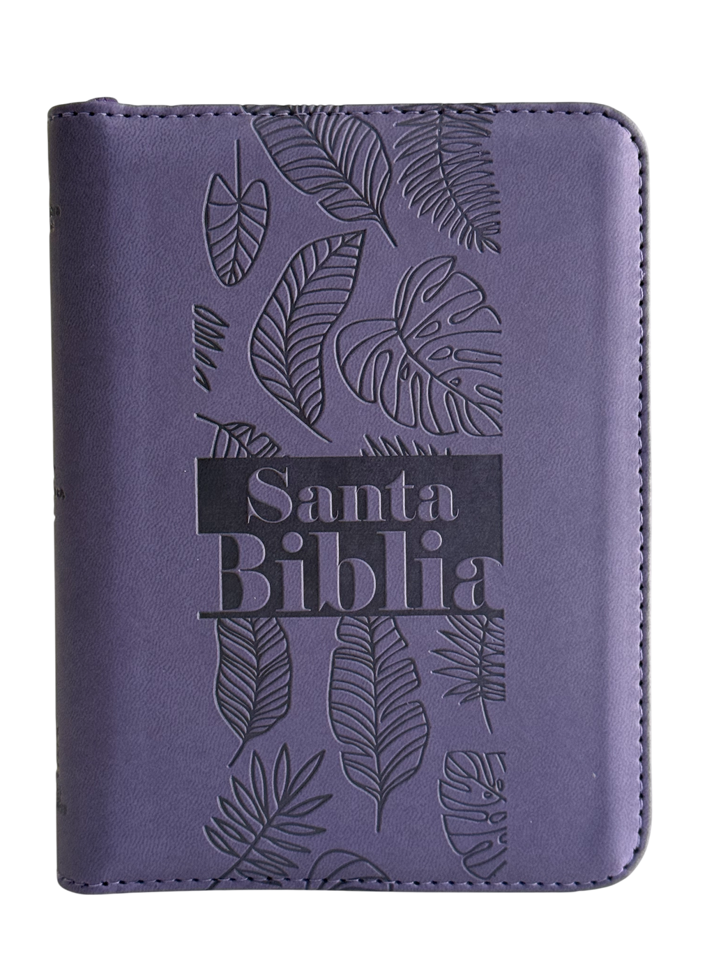 Biblia RVR60 Letra Grande Símil Piel Lila con Cierre, Canto Pintado
