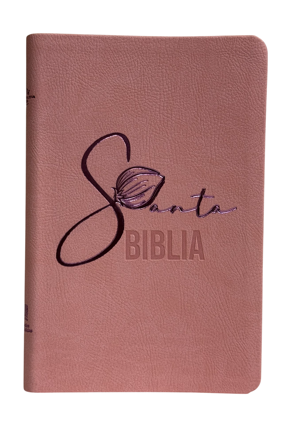 Biblia Económica RVR60 Tipo Agenda