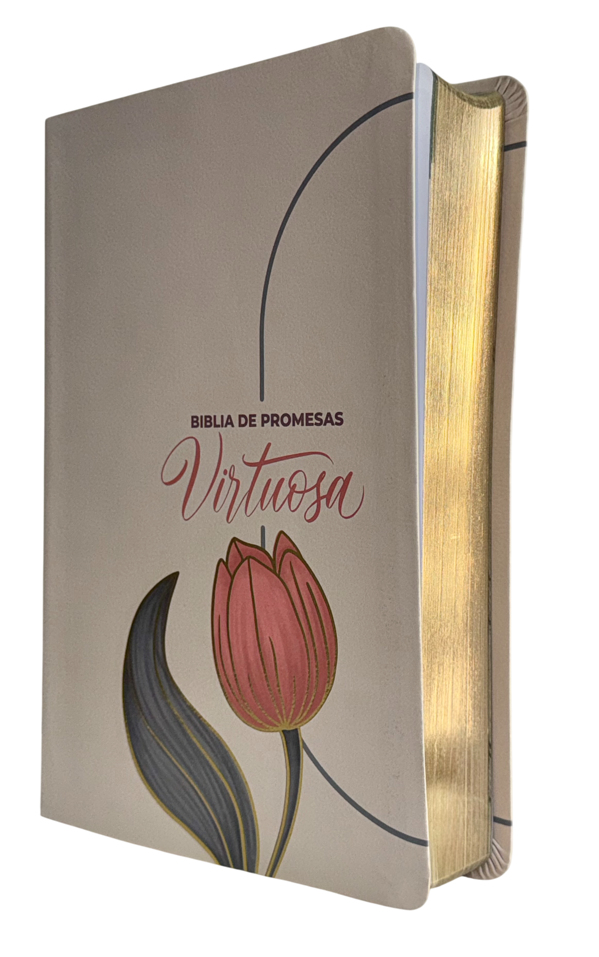 Biblia de Promesas RVR60 Virtuosa Letra Gigante Piel Especial Rosa/Blanco