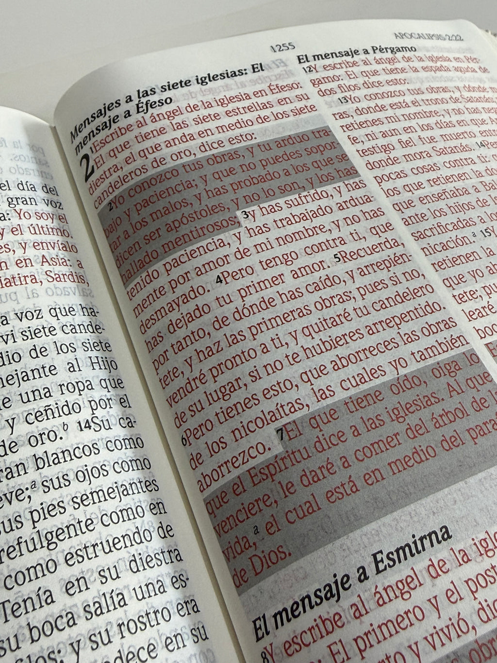 Biblia de Promesas RVR60 Virtuosa Letra Gigante Piel Especial Rosa/Blanco