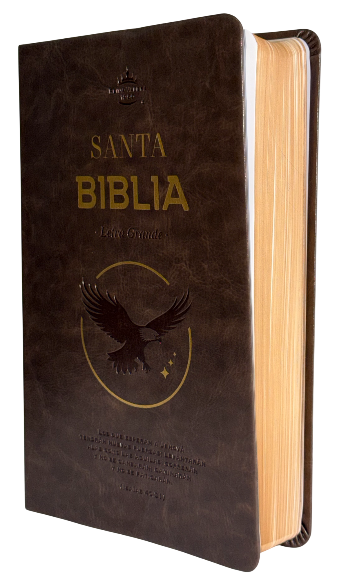 Biblia para Premios y Regalos, Reina Valera 1960, Letra Grande