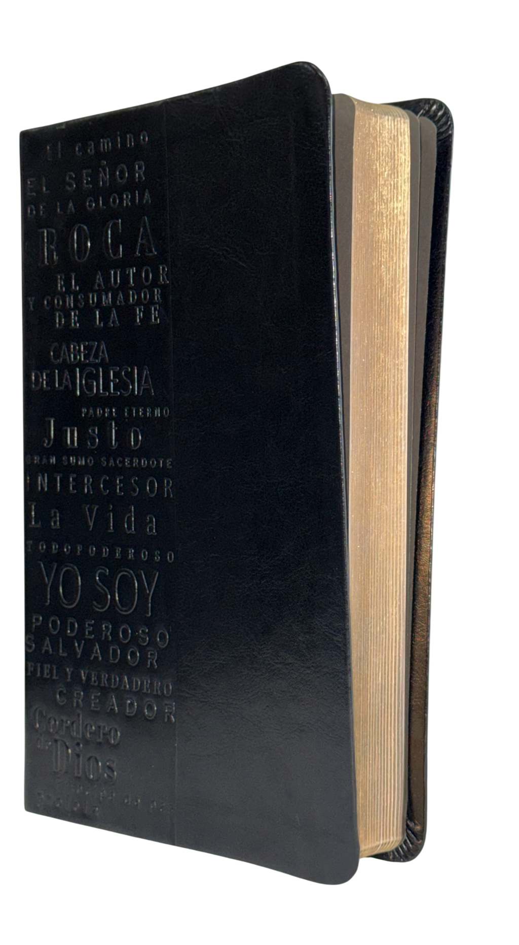 Biblia RVR60 Manual Letra Grande Nombres de Dios Negro Símil Piel