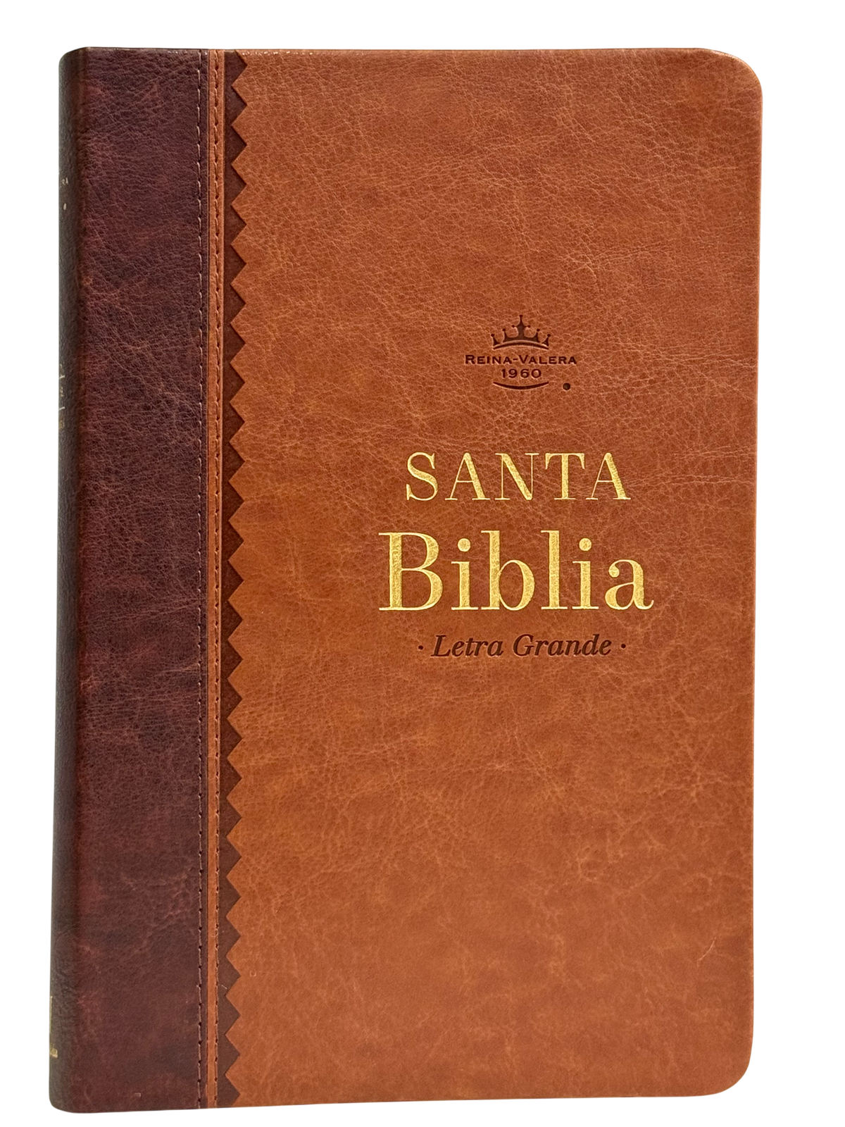 Biblia Obsequios y Premios RVR60, Letra Grande, Bicolor Café