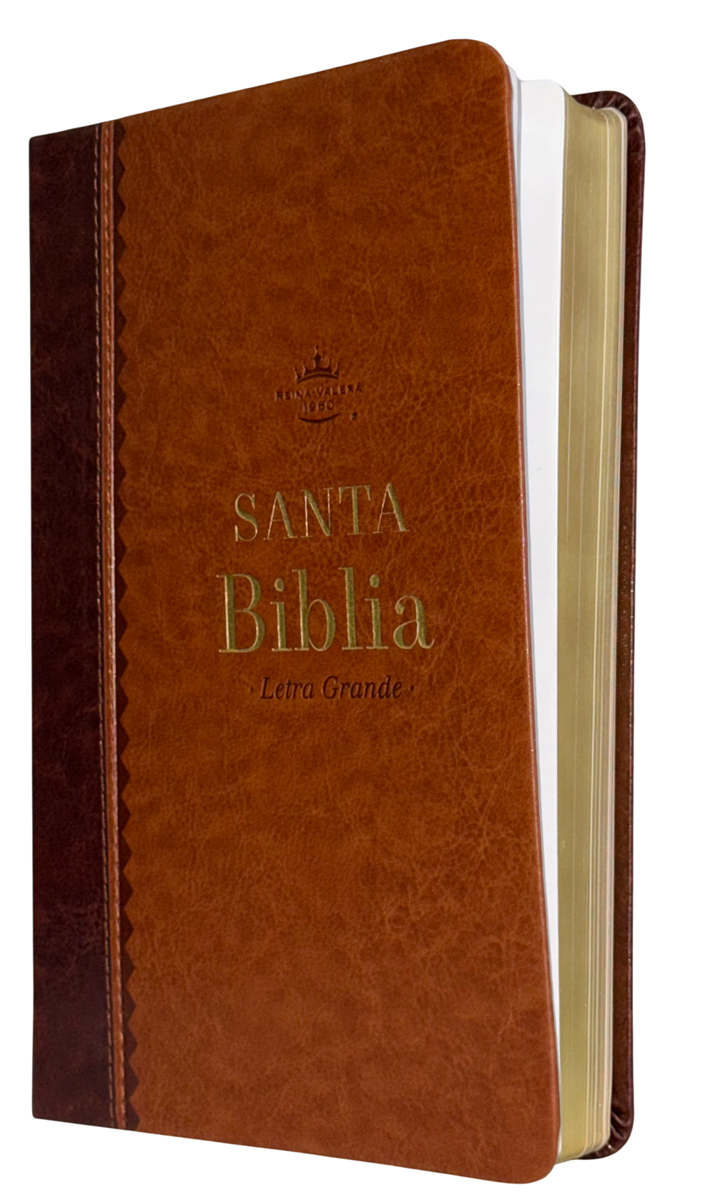 Biblia Obsequios y Premios RVR60, Letra Grande, Bicolor Café