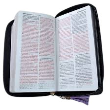 Biblia Chequera para Mujeres RVR60 con Lazo y Agarradera