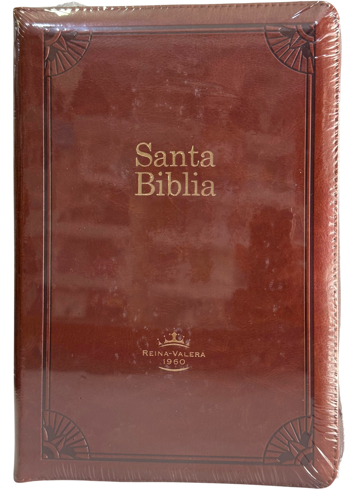 Biblia De Estudio/Arcoiris